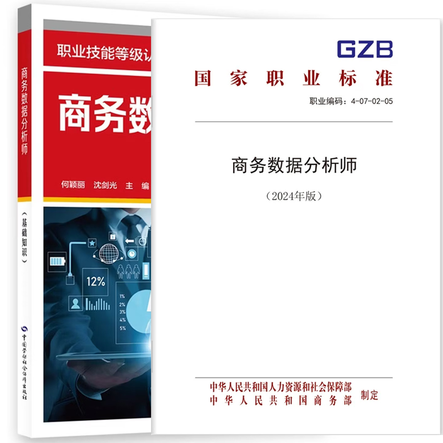 商务数据分析师 基础知识 何颖丽 沈剑光 职业技能等级认定培训教材 中国劳动社会障出版社9787516771761图片