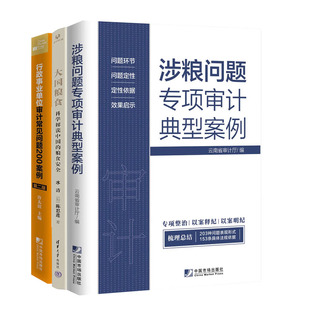 第二版 大国粮食科学解读 事业单位审计常见问题200案例 涉粮问题项审计典型案例 粮食书籍