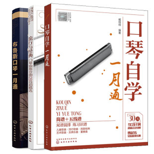 流行与 口琴独奏金曲128选+布鲁斯口琴一月通张晓松+口琴自学一月通 3本化学工业出版社