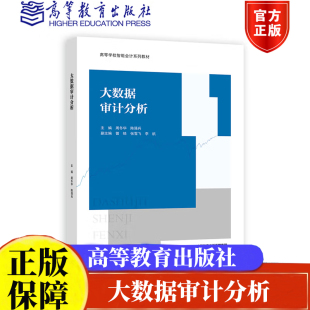 社高等学校智能会计系列教材正版 大数据审计分析 高等教育出版 陈强兵 书籍9787040609738 周冬华