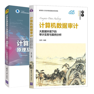 计算机数据审计 大数据环境下的审计实务与案例分析+计算机辅助审计原理及应用第四版 2册 EXCEL数据库及数据仓库数据挖掘技术