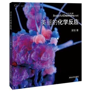 美丽的化学反应 梁琰著 清华大学出版社9787302423782