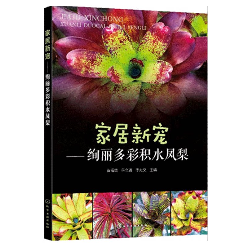 家居新宠 绚丽多彩积水凤梨 雨林缸材料制作赏析 热带植物栽培繁殖要点知识详讲 净化室内环境生态环保家庭空间美化图书籍