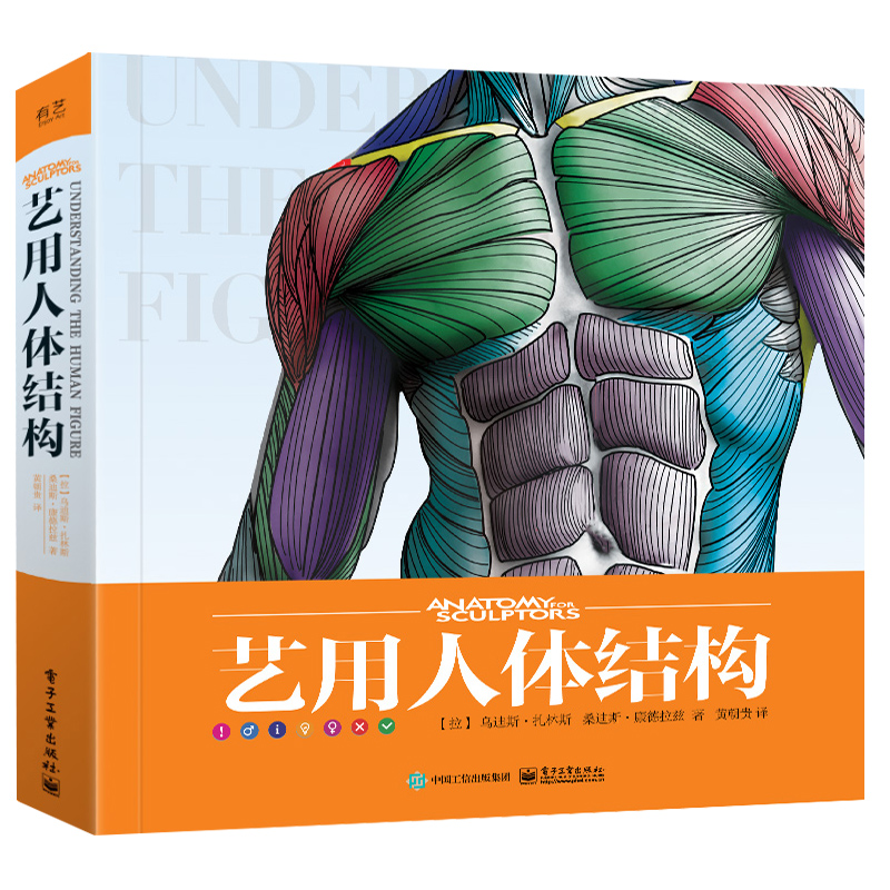 艺用人体结构 精装版 全彩 艺用人体结构解剖学书 形体构建组成人物