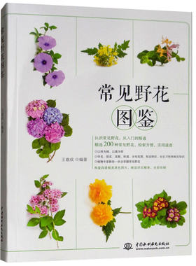 常见野花图鉴 认识常见野花从入门到精通 野花辨识检索速查书 常见野生花卉学名花期别名科属和分布范围形态特征生长习性百科书籍