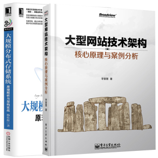 存储系统 原理解析与架构实战 电子工业 现货 机械工业 李智慧著 大规模分布式 大型网站技术架构：核心原理与案例分析 正版 杨传辉