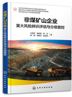 非煤矿山企业重大风险辨识评估与分级管控 王其虎、胡南燕、李文、姚囝、柯丽华、吴孟龙 著 9787122423344 化学工业出版社