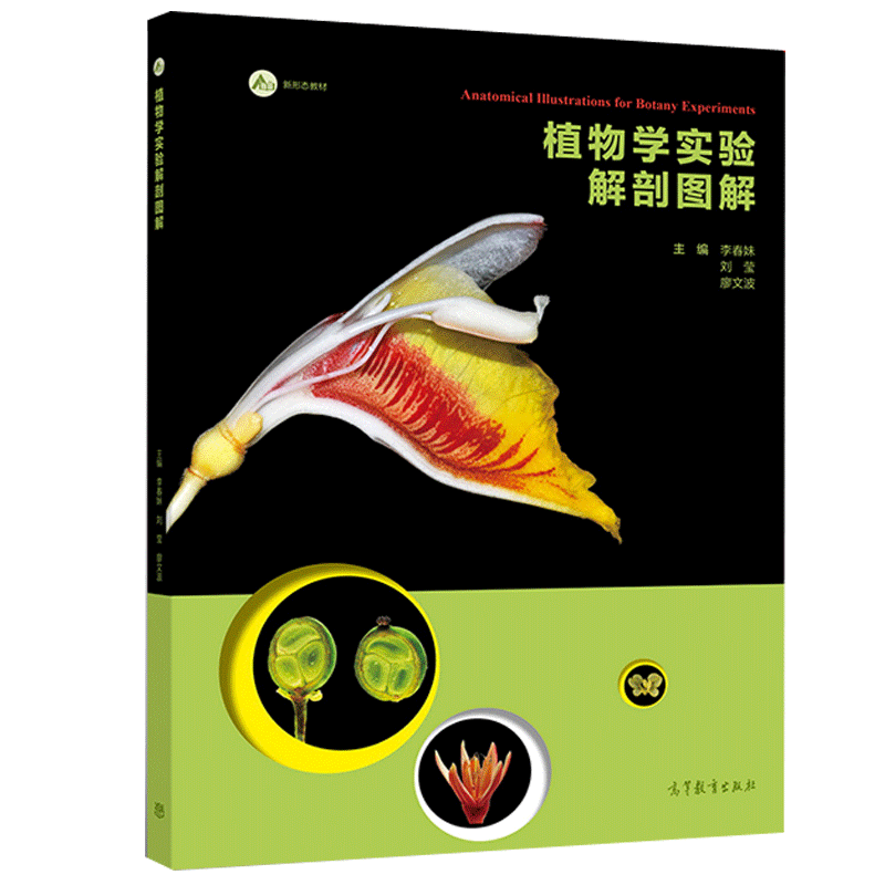 植物学实验解剖图解 李春妹 刘莹 廖文波 9787040498660高教社 高等学校生物学生态学地理学林学等专业植物学植物学实习教学参考书 - 实物图
