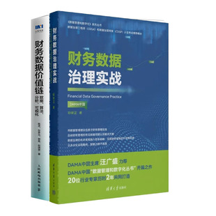 书籍 正版 财务数据治理实战 财务数据值链 数据算法分析可视化书籍