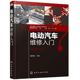 电动汽车基础知识 电动汽车动力电池及管理系统与电气系统维护与故障处理充电及故障排除 驱动电机控制器检修书 电动汽车维修入门