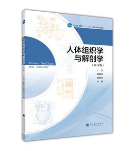 人体组织学与解剖学 第5版第五版 段相林 高等教育出版社 9787040355147 十一五教材书 院校教材组织学与解剖学参考书籍