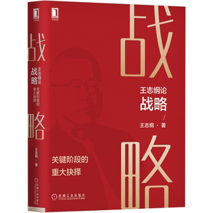 王志纲论战略关键阶段的重大抉择 王志纲 企业管理书籍 战略中国式战略定位 龙永图 周其仁智纲智库 知行合一管理 机械社