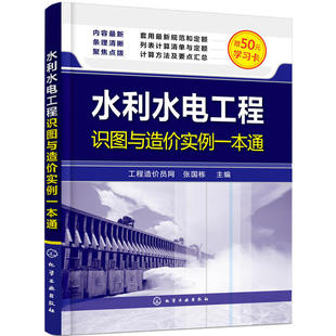 水利工程造价人员 水利水电工程识图与造价实例一本通 建筑工程教程书 建筑电工造价师造价员技能入门 工程审计员参考图书籍