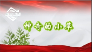 神奇的小草 屠呦呦 朗诵视频led视频背景 科学家屠呦呦 青蒿素