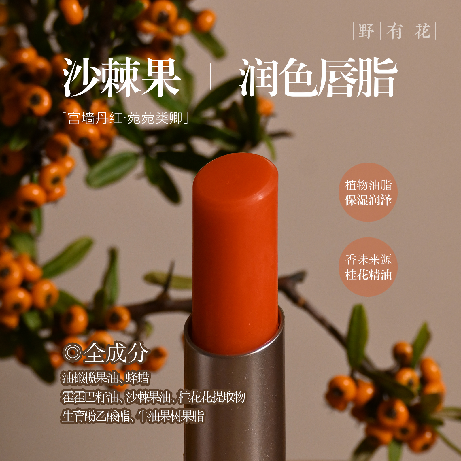【润色版】提升好气色沙棘果有色润唇膏保湿打底防干燥替代口红