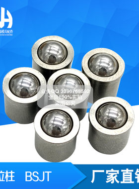 不锈钢 BSJT 型球头柱塞 BSJT4  BSJT5  BSJT6  BSJT8  现货供应