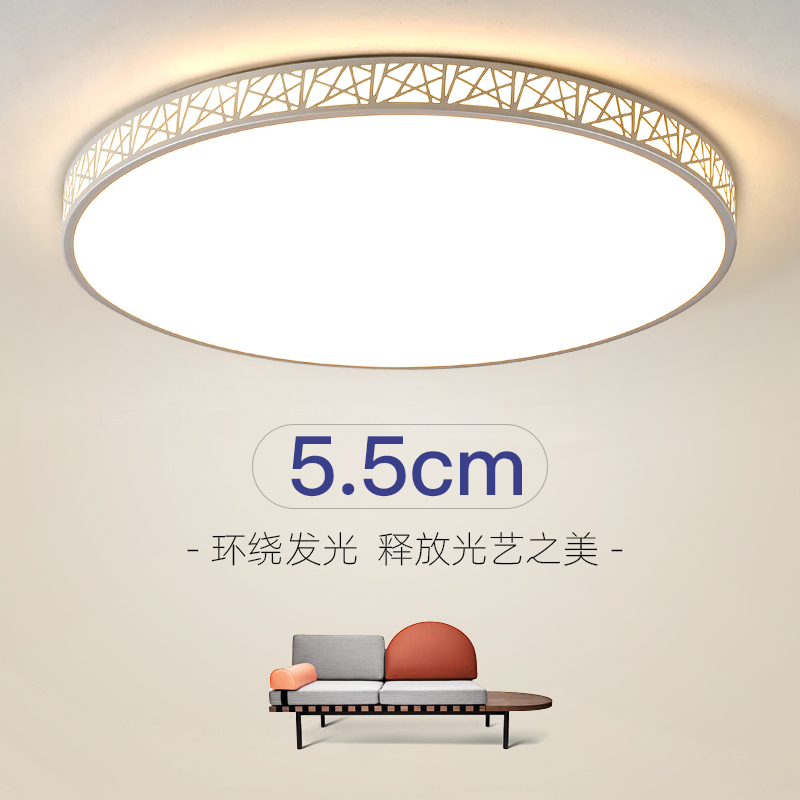 2025新款led北欧简约圆形吸顶灯