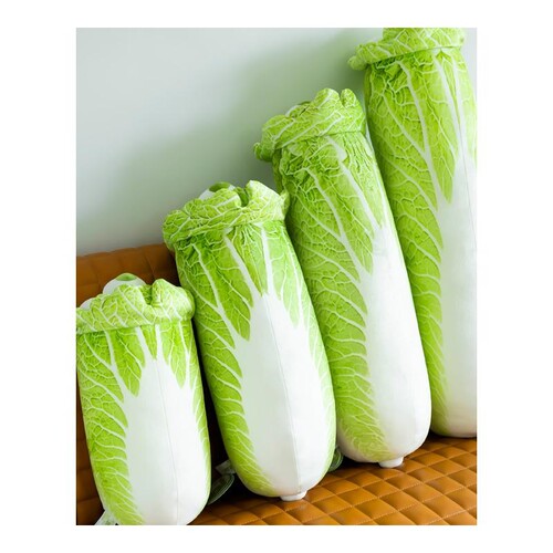 韩式蔬菜精灵白菜狗狗公仔玩偶小狗毛绒玩具娃娃女生睡觉抱枕礼物