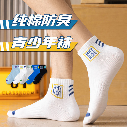青少年袜子男夏薄款纯棉防臭运动
