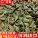粽子白米粽蜜枣粽豆沙粽鲜肉粽蛋黄鲜肉粽黑猪五花肉粽早餐粽端午