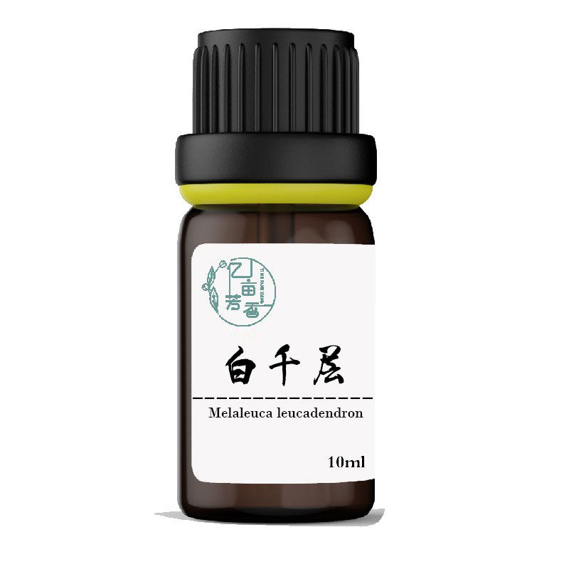 白千层单方精油Melaleuca leucadendron 芳疗香薰