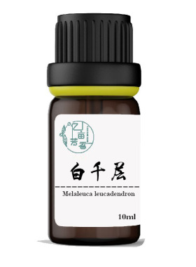白千层单方精油Melaleuca leucadendron 芳疗香薰