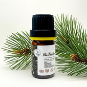 通畅呼吸香薰调香 Needle 匈牙利欧洲赤松松针单方精油 芳疗Pine