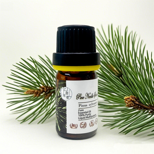 匈牙利欧洲赤松松针单方精油