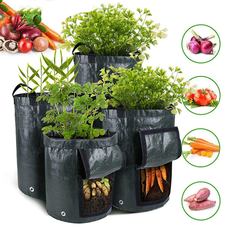 PE土豆种植袋马铃薯西红柿蔬菜栽培种植桶透气带窗口planting bag