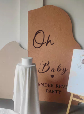 Gender reveal性别揭示派对KT板背景板揭密气球男女道具装饰品