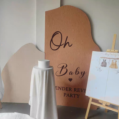 Gender reveal性别揭示派对KT板背景板揭密气球男女道具装饰品