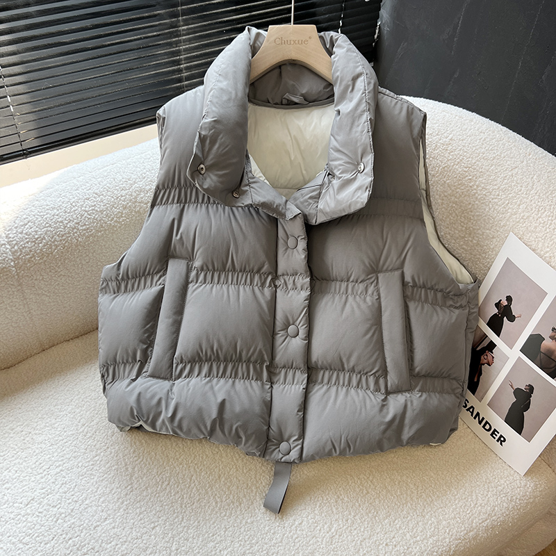 2025冬季新款韩版宽松羽绒马甲女加厚百搭外穿背心单排扣立领马夹
