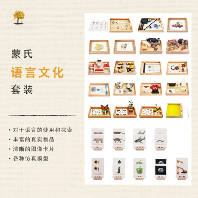 语言认知分类配对卡片