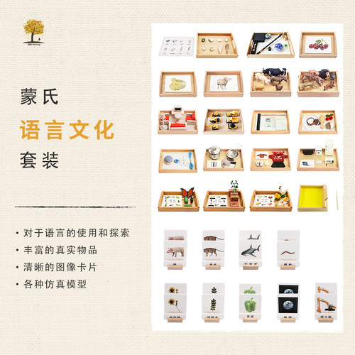 语言认知分类配对卡片