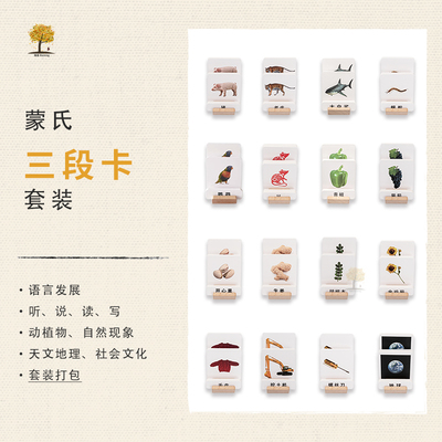瑞音语言区教学三段卡卡片认知