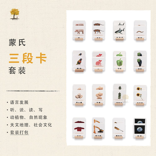 瑞音语言区教学三段卡卡片认知