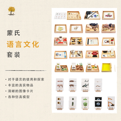 语言认知分类配对卡片