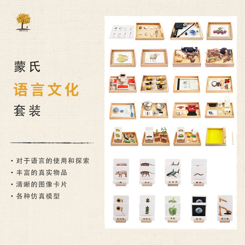 语言认知分类配对卡片