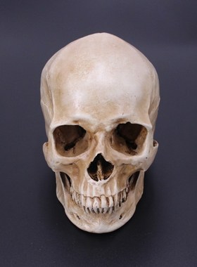 模型万圣节酒吧影视装扮道具摆件