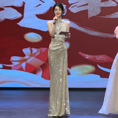 主持人晚礼服裙女2025新款 爆闪毕业典礼宴会气质亮片连衣裙高级感