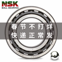NSK Japan Import Bearing 7200 7202 7203 7204 7205 7206 7207