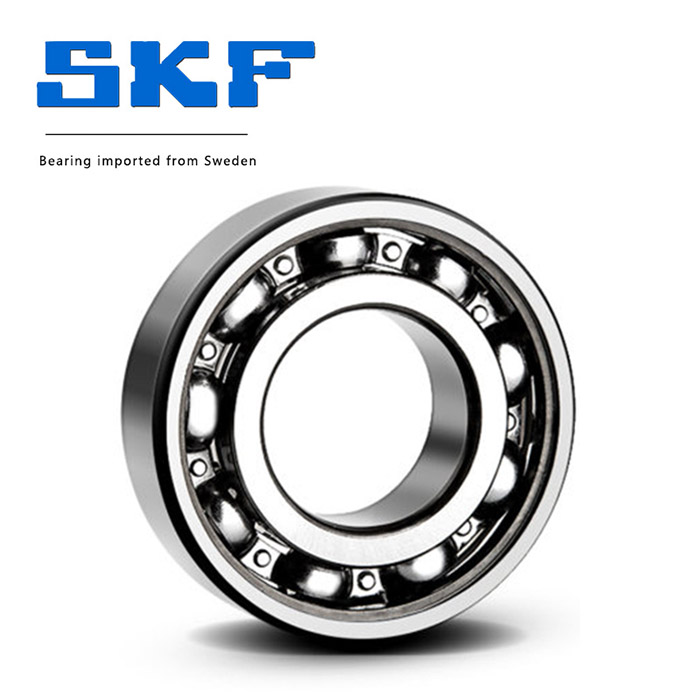 瑞典600060016002SKF