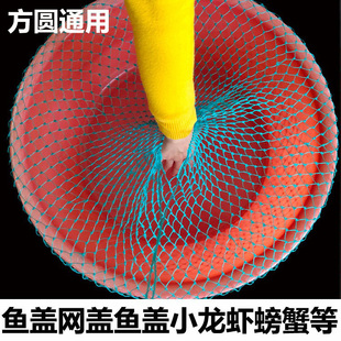 两头通防跳网鱼盖盖小龙虾螃蟹鱼防逃网鱼网盖尼龙网兜渔网网兜