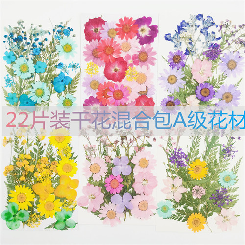 押花DIY混合干花树叶包压花真花