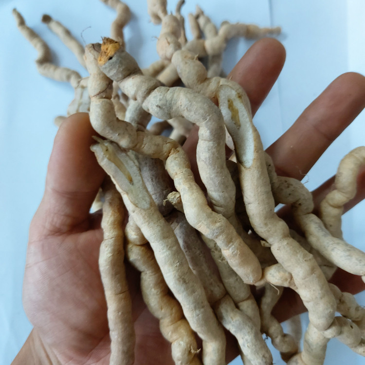 高要湿巴戟天肇庆250g男性中药材生巴戟德庆新鲜鸡肠风巴戟天