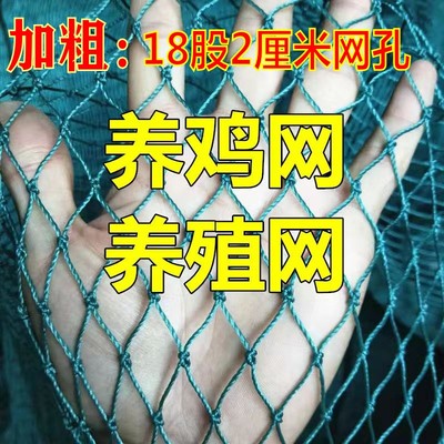 家禽养鸡养拦鸡拦鸡网鸡网尼龙网