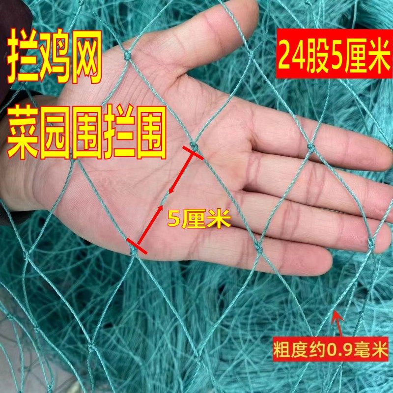 家禽养殖网养鸡网山鸡网围网尼龙护栏/隔离栏