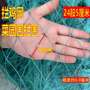 家禽养殖网养鸡网山鸡网围网尼龙网养殖天网围栏网防护网菜地拦网