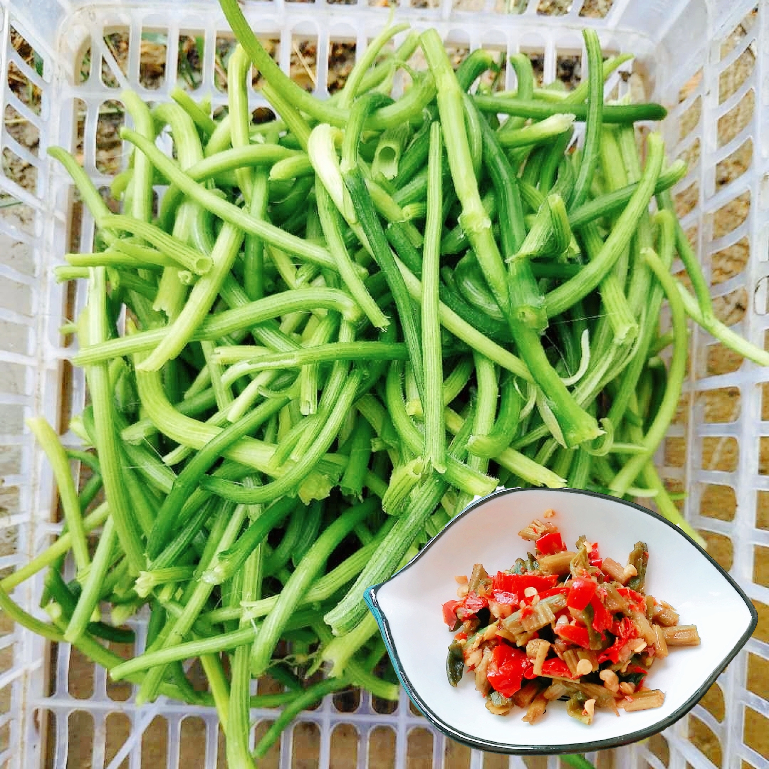 湖南农家自制南瓜藤杂菜500g邵东特产新鲜农产品南瓜藤干坛子菜