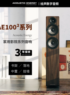 AE英国AE100发烧影院无源音箱